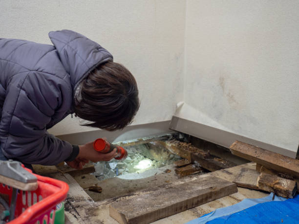 Best Comprehensive Air Testing for Mold Contaminants  in Sutton Alpine, AK