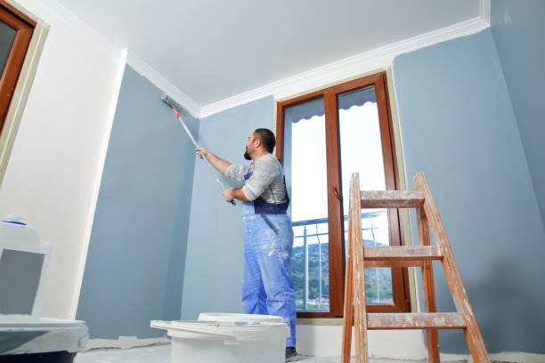 Best Basement Mold Removal  in Sutton Alpine, AK