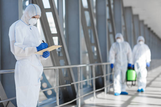 Best Airborne Mold Testing  in Sutton Alpine, AK