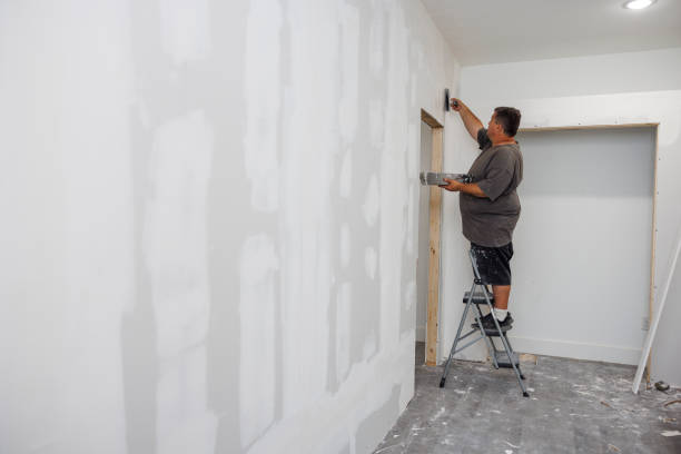 Best Mold Prevention Services  in Sutton Alpine, AK