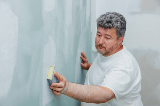 Best Water Damage & Mold Remediation  in Sutton Alpine, AK