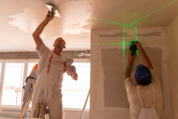 Best Mold Removal for HVAC Installations  in Sutton Alpine, AK